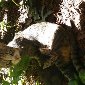 Meet your Posher, Dan